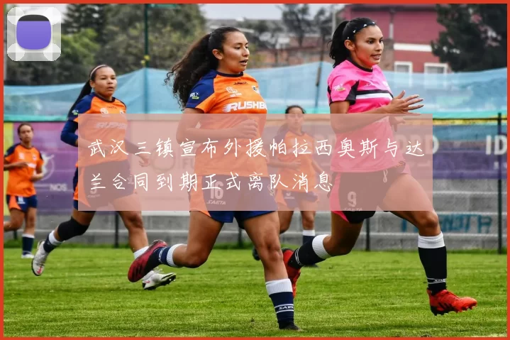 武汉三镇宣布外援帕拉西奥斯与达兰合同到期正式离队消息