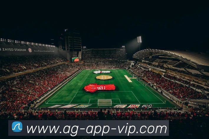 App 展示图