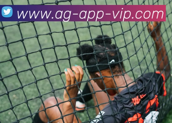 App Interface Preview